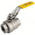 1-1/4" FNPT Stainless Steel Ball Valve Inline
