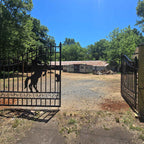 20x8 ft Steel Dual Swing Driveway Gate