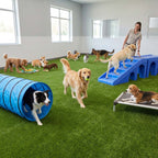 Yescom Indoor Pet Turf Rolls for Dog Daycare Facility 13/16"H