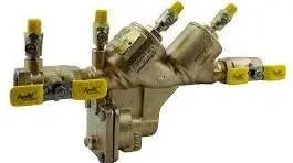 2" Double Check Valve Backflow Preventer With Ball Valves