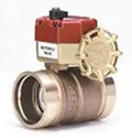 1-1/4" THREADED BUTTERBALL W/SWITCHES 350PSI