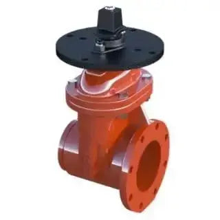 Resilient Wedge Non Rising Stem Gate Valve Grooved X Grooved Durable Design