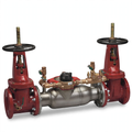 10" 3000SS DOSY Double Check Valve Backflow Preventor