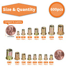 600-Piece Colored Zinc Rivet Nut Set – Metric & Imperial