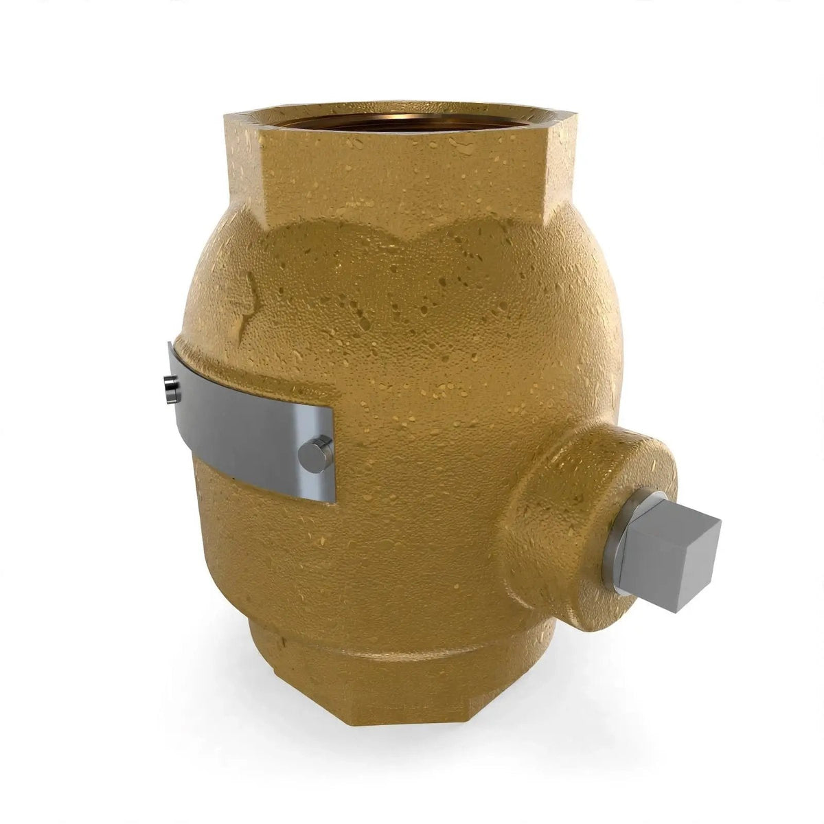 1/4" X 1/4" Spring Load Check Valve Three Pack