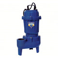 SewageEjectorPump,10ft,0.5hp,115VAC