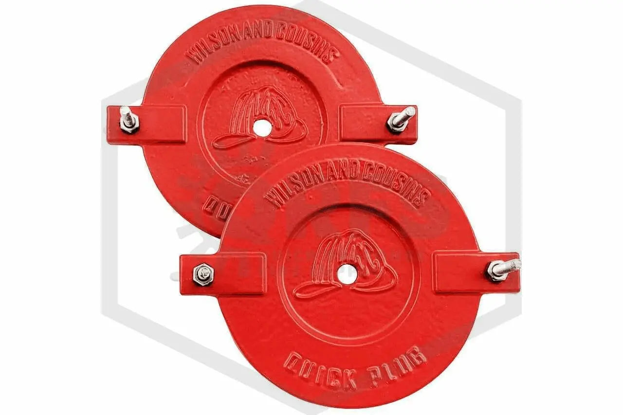 2-1/2" Plastic Brasseakable Caps for Fire Protection