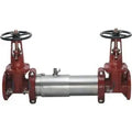 2-1/2" Double Check Assembly With OSY Valve For Fire Protection