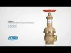 2-1/2" Pr Fire Hose Valve Mht for Reliable Protection
