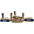 2" Febco 850 Double Check Assembly Low Flow Fire Protection