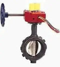 2 Inch UL FM Wafer Butterfly Valve by Nibco Inc