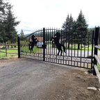 20x8 ft Steel Dual Swing Driveway Gate