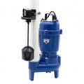 SewageEjectorPump,10ft,0.5hp,115VAC