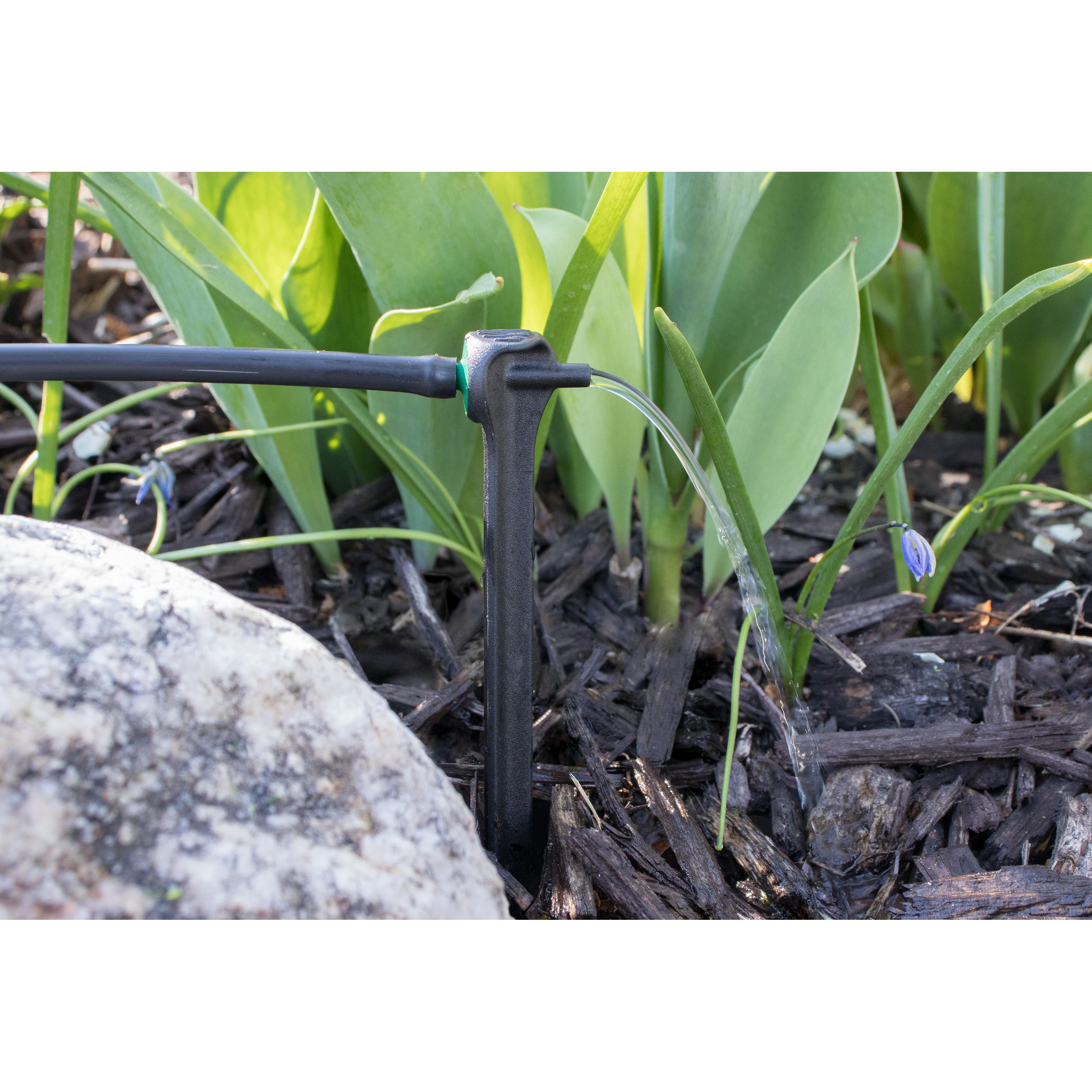 1/4" Barb 2 GPH PC Dripper on 5" Stake | 65702