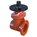 3" Kennedy RW Grooved OS&Y Gate Valve