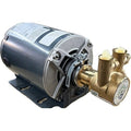 RotVanePmp,3/8"Dia,Brass,105 gph,1/4 hp