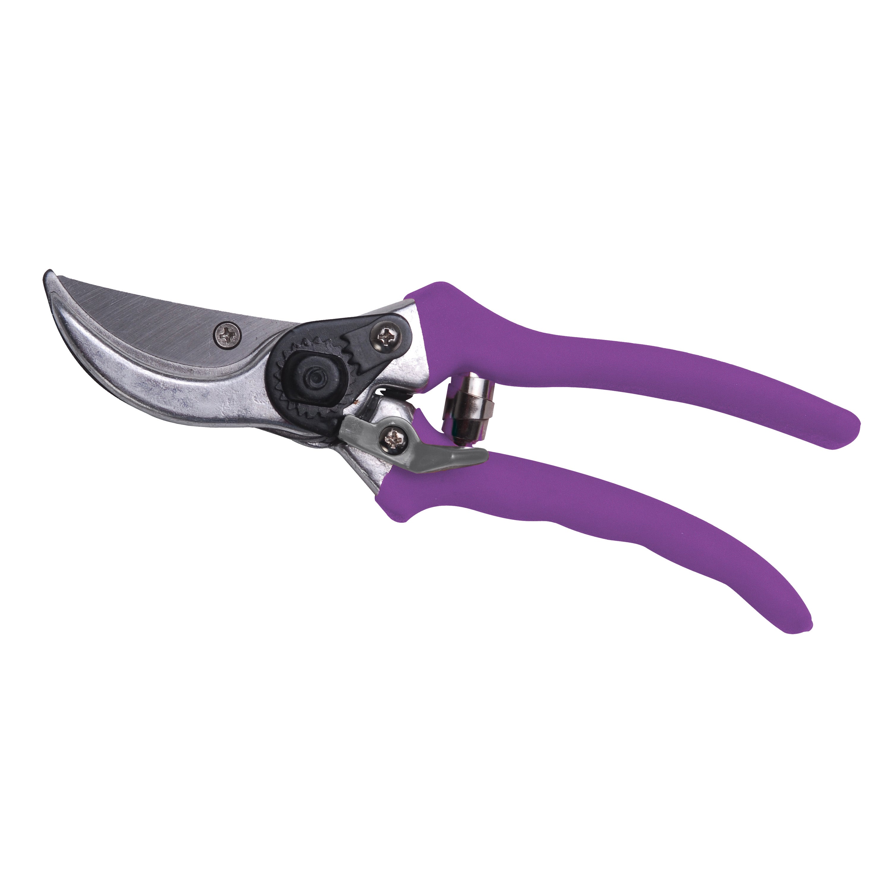 Bloom Lopper/Pruner Combo 4879BL