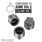 1 in. Black Plug