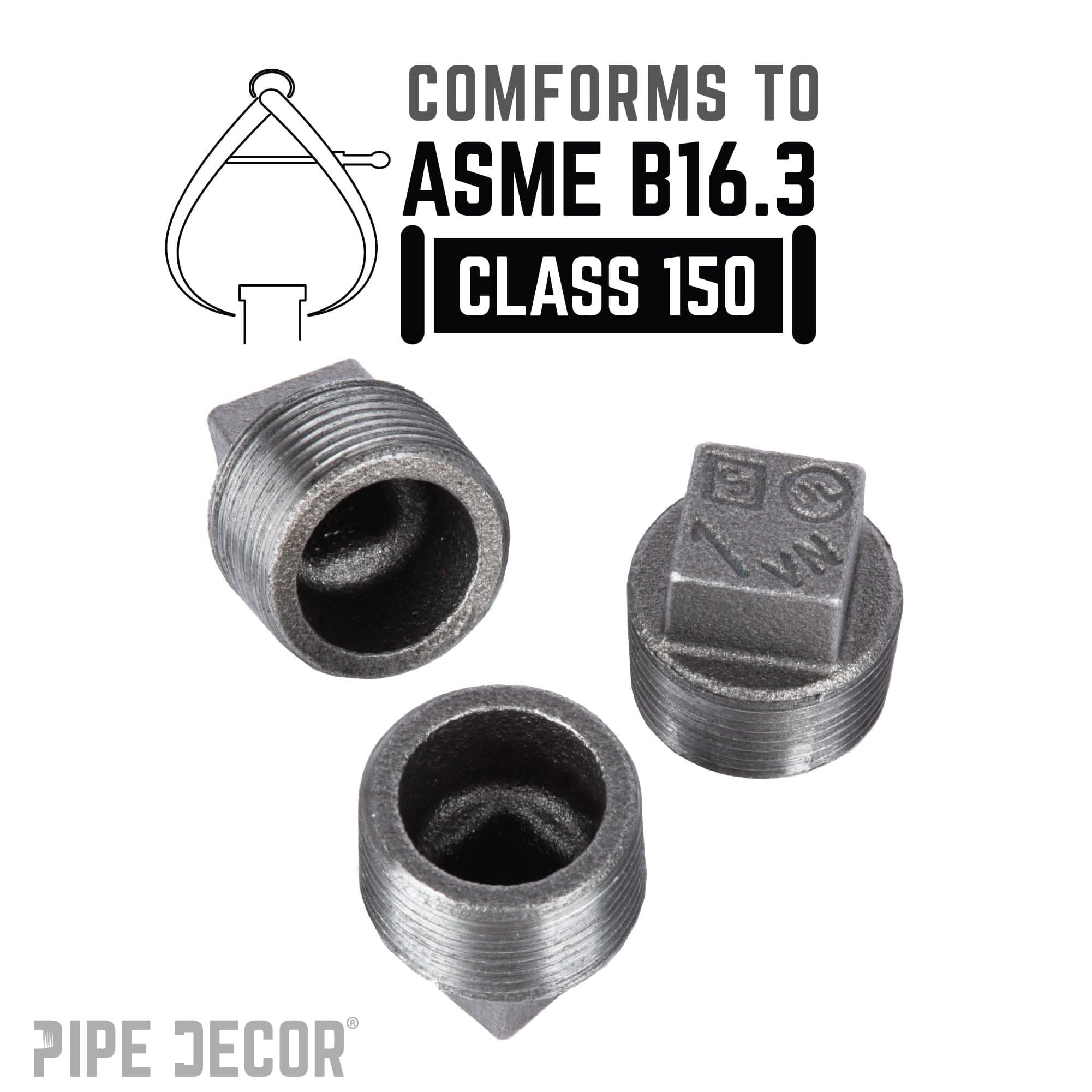 1 in. Black Plug