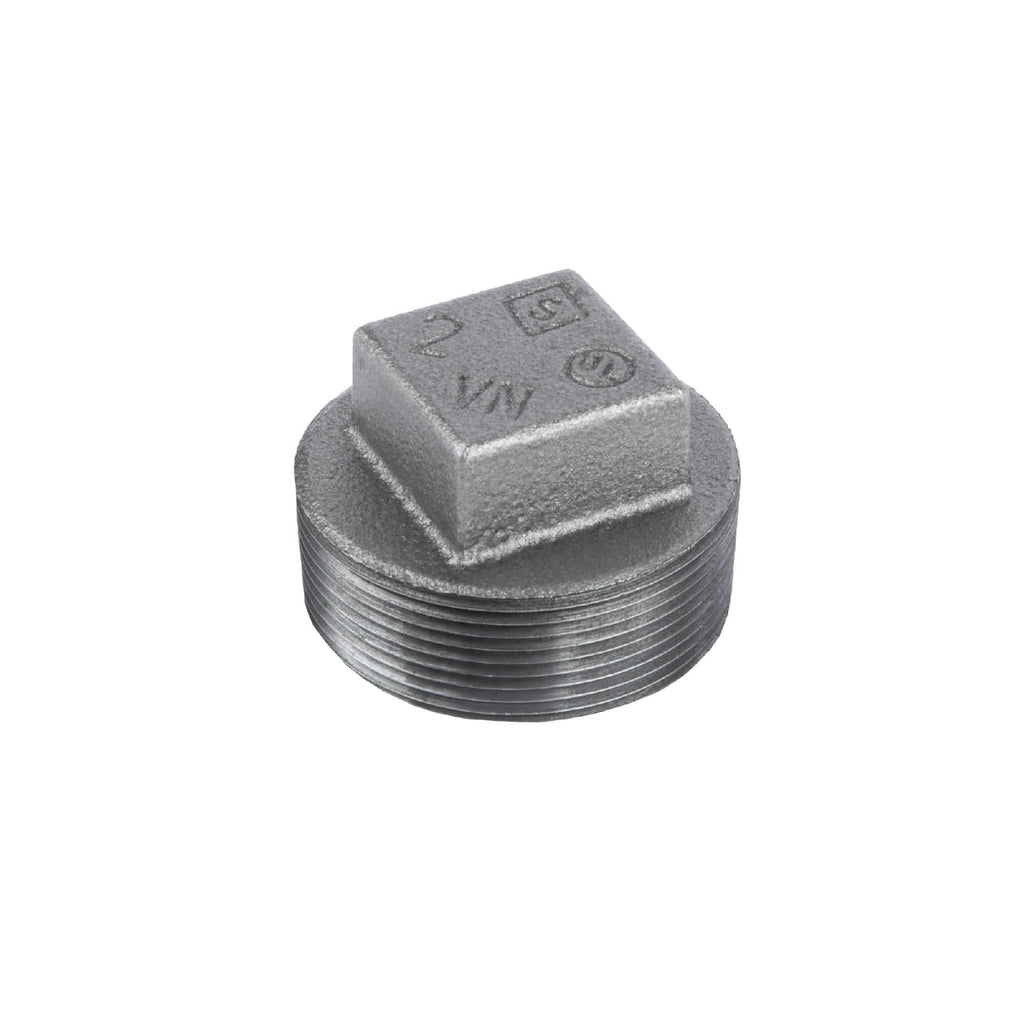 2 in. Black Plug