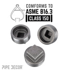 2 in. Black Plug