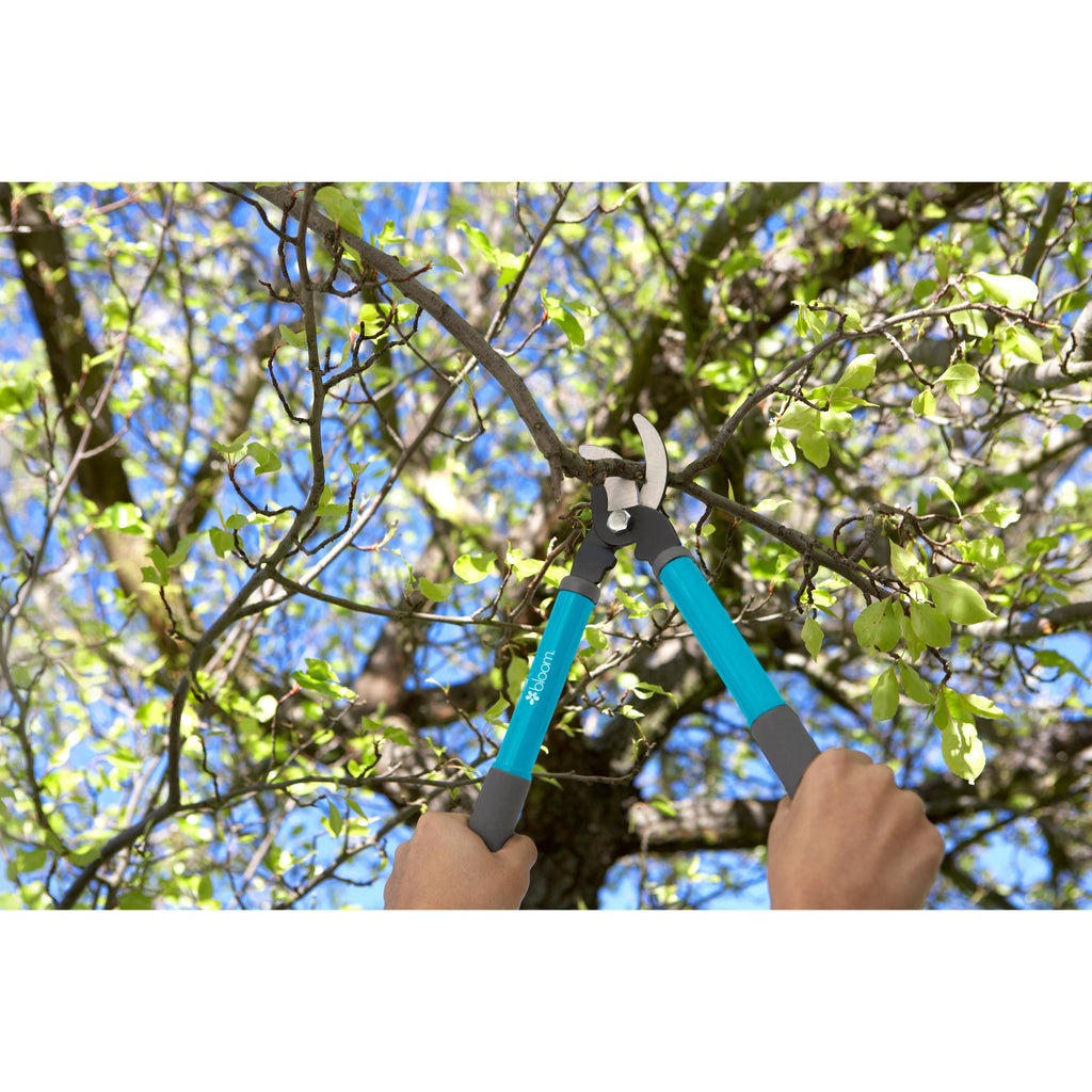 Bloom Lopper/Pruner Combo 4879BL