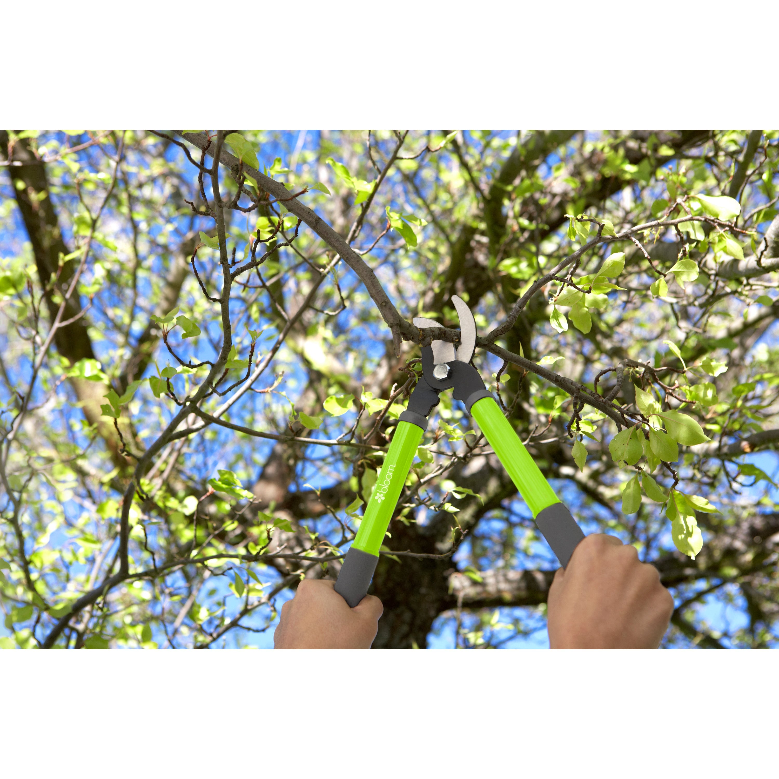 Bloom Lopper/Pruner Combo 4879BL