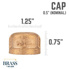 1/2 in. Red Brass Cap