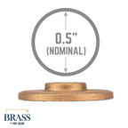 1/2 in. Red Brass Flange
