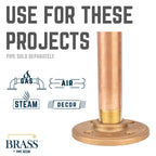 3/4 in. Red Brass Flange