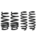2017-22 Tesla Model 3 Racing Front Rear Lowering Springs Suspension kit US