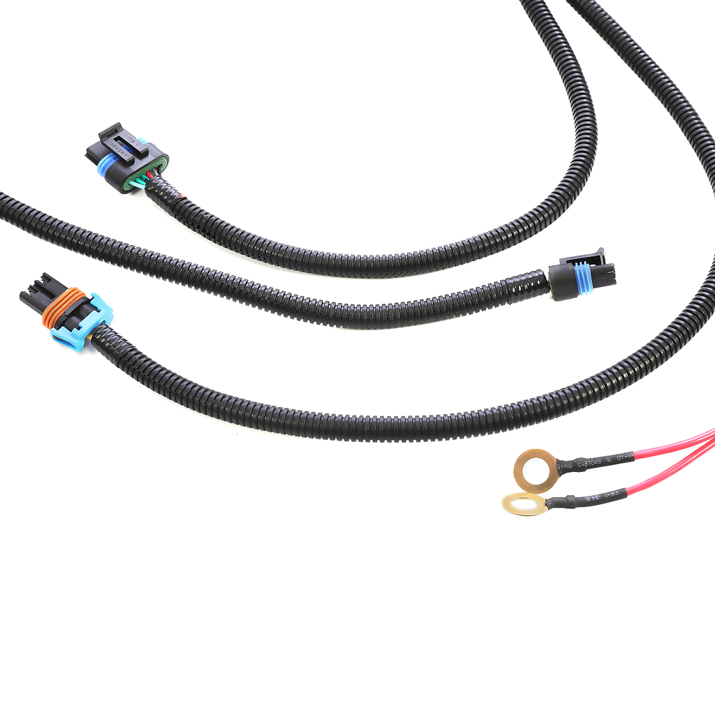LS Swap Standalone Wiring Harness 97-04 LS1 Drive-By-Wire DBW 4L60E Trans US