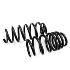 2017-22 Tesla Model 3 Racing Front Rear Lowering Springs Suspension kit US