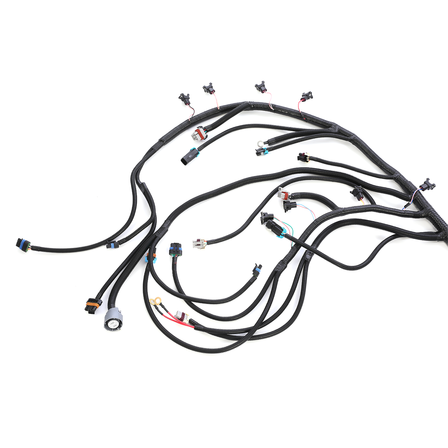 LS Swap Standalone Wiring Harness 97-04 LS1 Drive-By-Wire DBW 4L60E Trans US