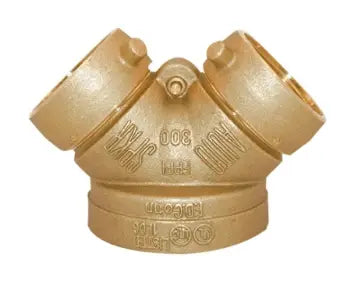 4" X 2-1/2" Straight Tempe Fire Department Connection