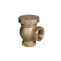 3/4-in. FTP Brass Atmospheric Vacuum Breaker 51059