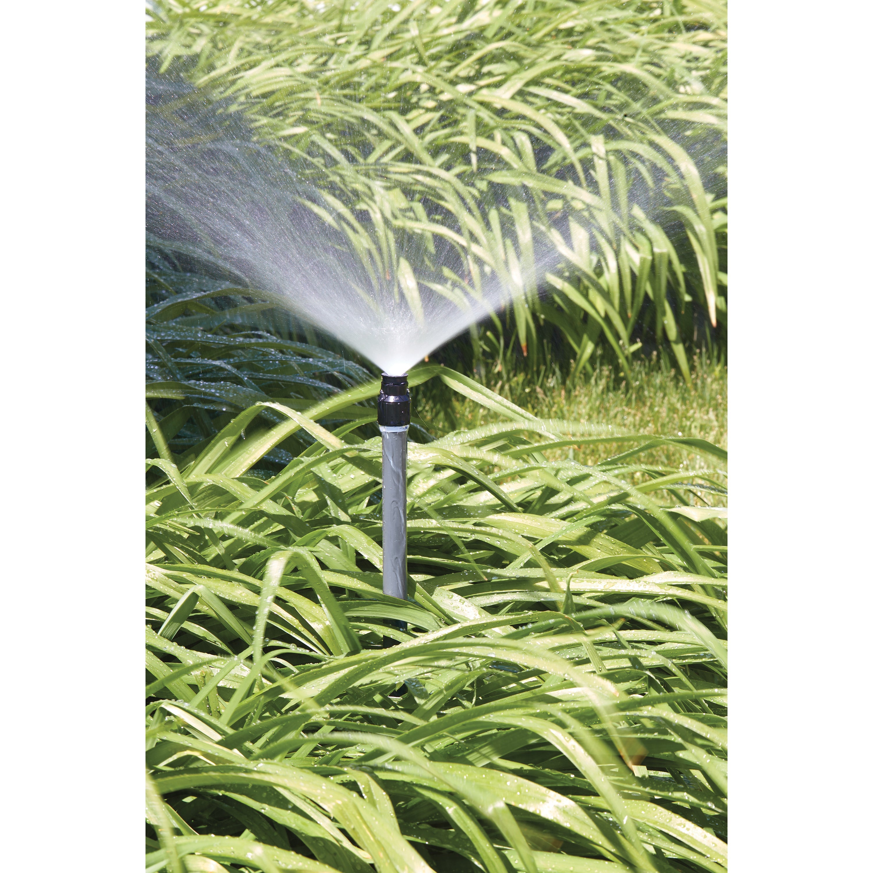 Shrub Head w/Full Pattern Insert Nozzle | 54009