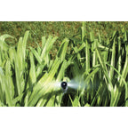 Shrub Head w/Ctr Strip Pattern Insert Nozzle | 54013