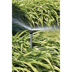 Shrub Head w/Ctr Strip Pattern Insert Nozzle | 54013