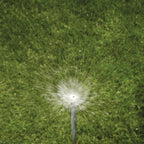 Shrub Head w/Brass Full Pattern Insert Nozzle | 54038