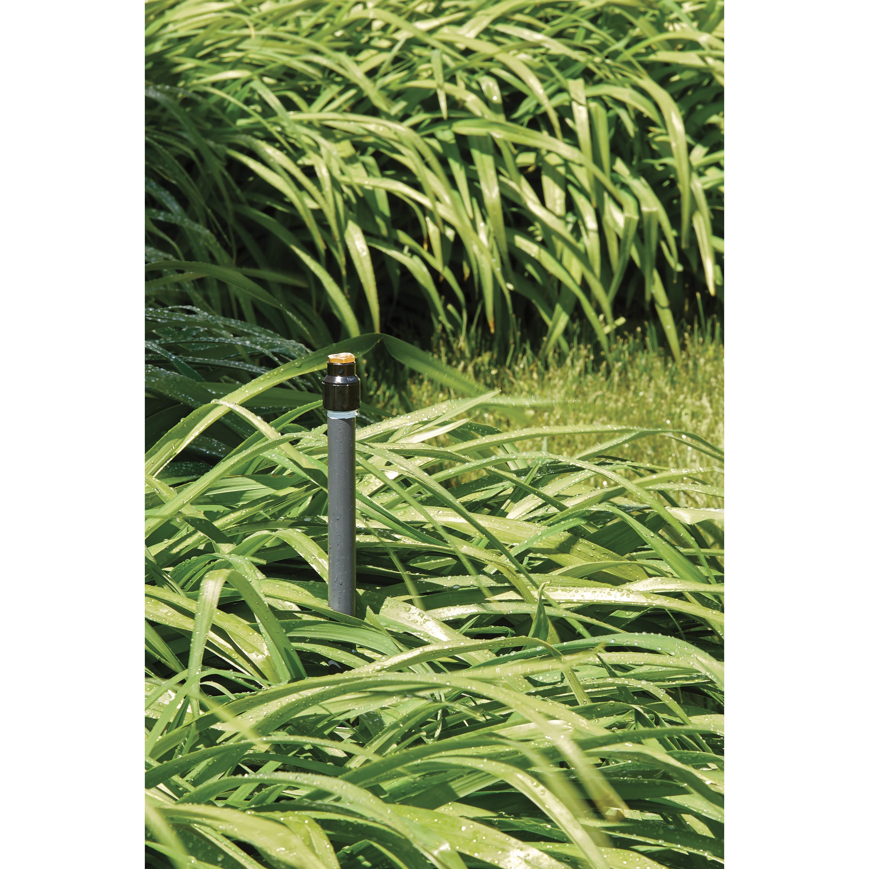 Shrub Head w/Brass Full Pattern Insert Nozzle | 54038