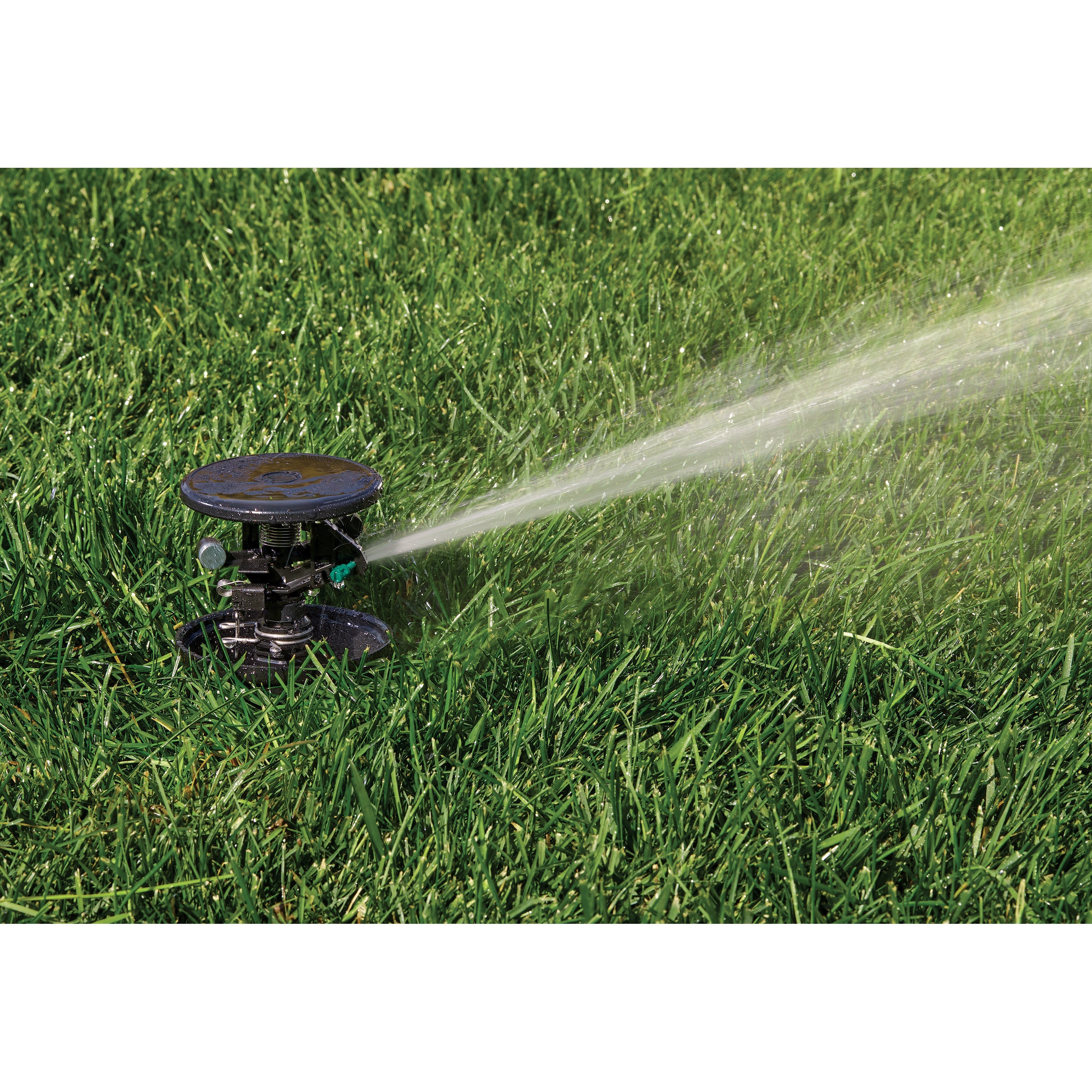 Pulse Pop-Up Impact Rotor Sprinkler in Canister 55200