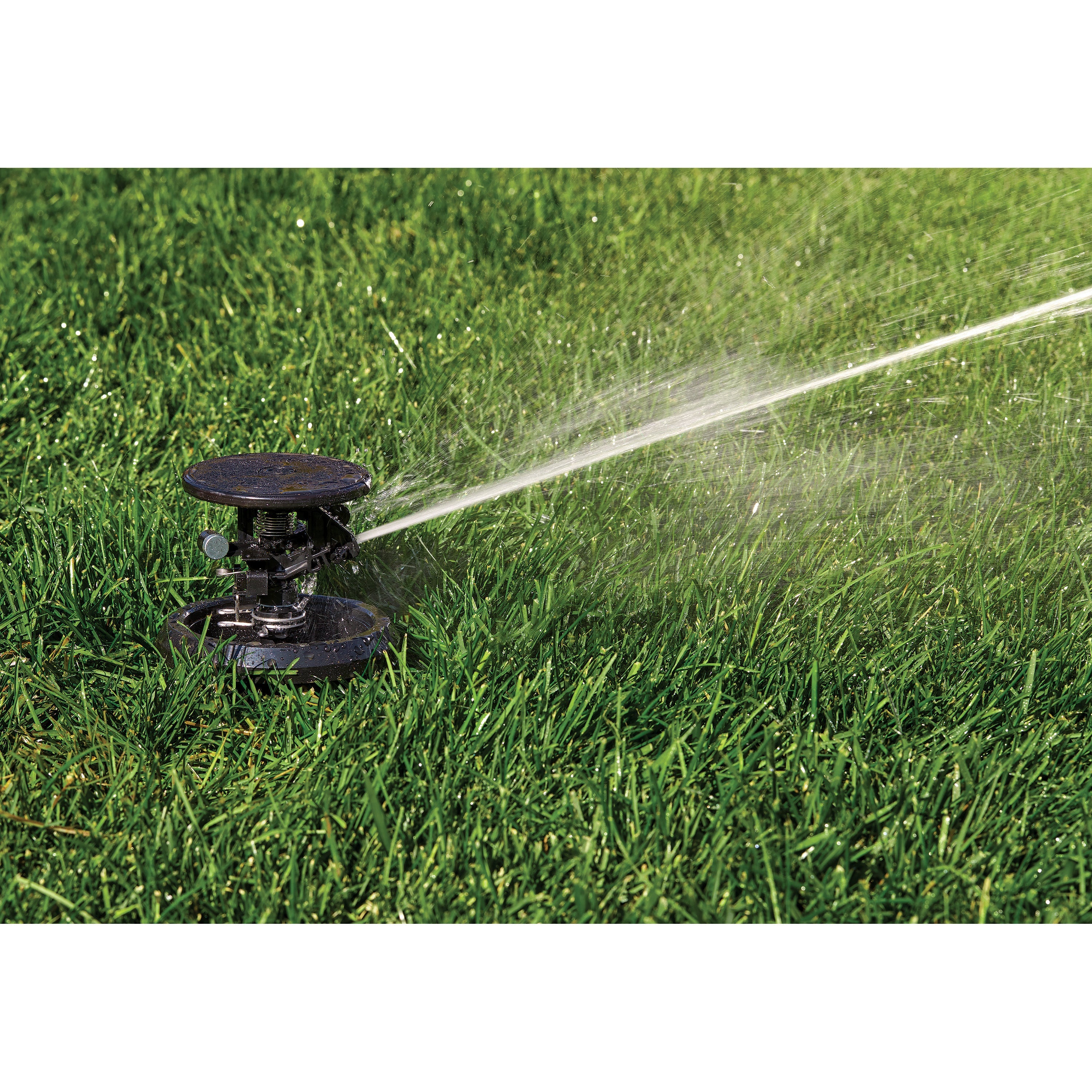 Pulse XL Pop-Up Impact Rotor Sprinkler in Canister 55201