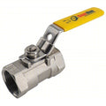 Manual 2-Way Ball Valve,NPT,316 SS