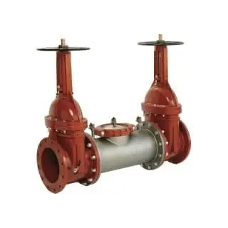 6" 2000SS DOSY GXG Backflow Preventer Valve by Ames