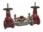 Watts Series 3000SS Double Check Detector Assembly for Fire Protection Systems