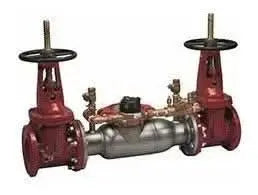 Watts Series 3000SS Double Check Detector Assembly for Fire Protection Systems