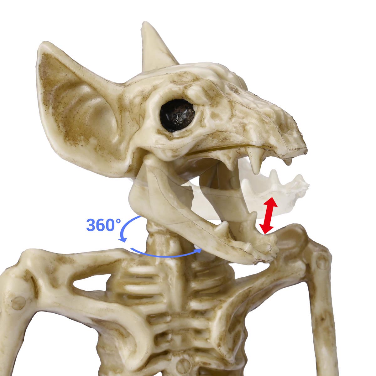 Yescom Halloween Decoration Animal Skeletons Options