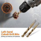 49-Piece Bolt and Screw Extractor Set with Drill Bits for Professional Auto Repair