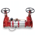 8" Reduced Pressure Detector With OSY Domestic Valve
